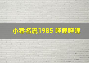 小巷名流1985 哔哩哔哩